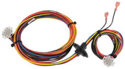 Rheem Wiring Harness - 45-102706-05