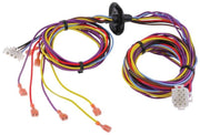 Rheem Wiring Harness - 45-102706-06