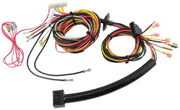 Rheem Wiring Harness - 45-102706-14