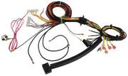 Rheem Wiring Harness - 45-102706-15