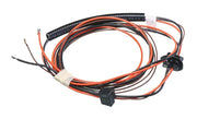 Rheem Wiring Harness - Motor #2 - 45-102706-19