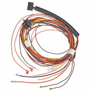 Rheem Wiring Harness - 45-102706-21