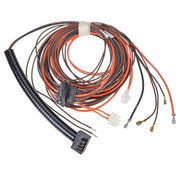Rheem Wiring Harness - 45-102706-22