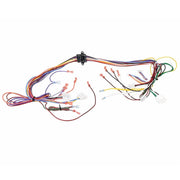 Rheem Wiring Harness Assembly (Twist-Lock) - 45-104932-01