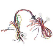Rheem Wiring Harness Assembly (Twist-Lock) - 45-104932-02