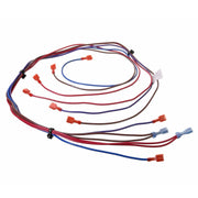 Rheem Wiring Harness - 45-107818-30