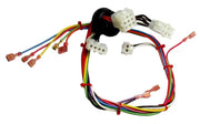 Rheem Wiring Harness - 45-24090-04