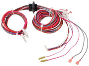 Rheem Wiring Harness - Economizer - 45-42522-107