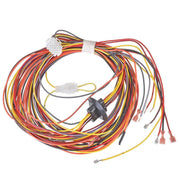 Rheem Wiring Harness - 45-42522-108
