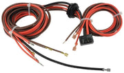 Rheem Wiring Harness - 45-42522-12