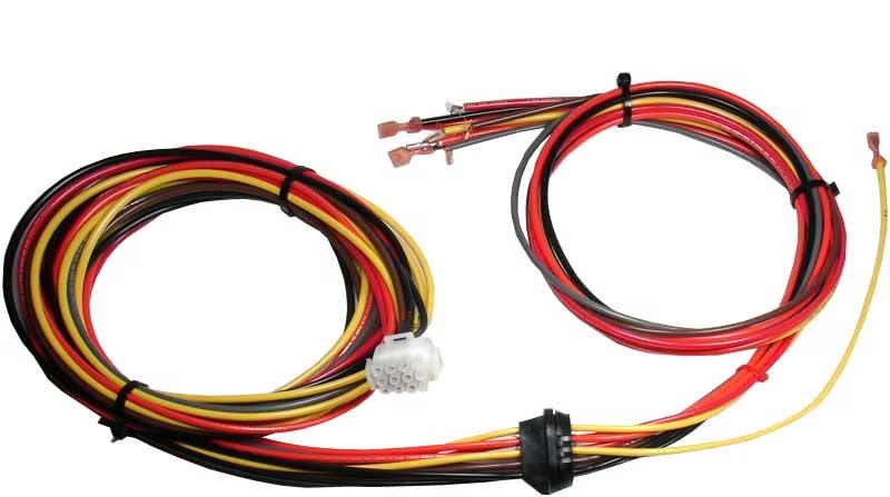 Rheem Wiring Harness - 45-42522-20
