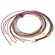 Rheem Wiring Harness - 45-42522-44