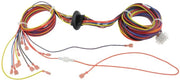 Rheem Wiring Harness - 45-42522-88