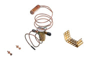 Rheem Expansion Valve (TXV) - R-22, 1-Ton, 3/8 in. Inlet, 3/8 in. Outlet - 61-100141-01
