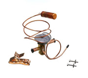 Rheem Expansion Valve (TXV) - R-410A, 2-Ton, 3/8 in. Inlet, 3/8 in. Outlet - 61-102211-35
