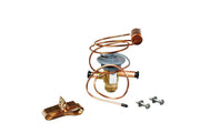 Rheem Expansion Valve (TXV) - R-410A, 3-Ton, 3/8 in. Inlet, 3/8 in. Outlet - 61-102211-37