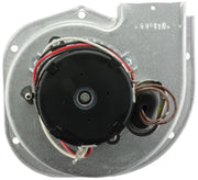 Rheem Induced Draft Blower with Gasket - 208,230V, Discharge Right - 70-23641-04