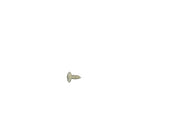 GE Microwave Screw WB1X1137