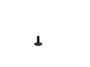 Frigidaire Dryer Screw (black) 5303285179