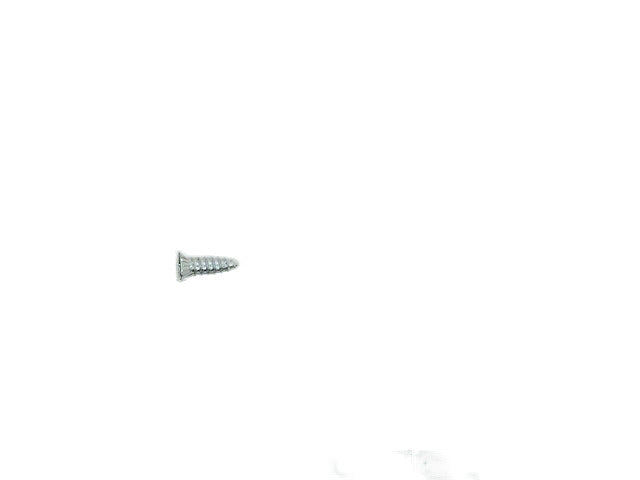 GE Dryer Screw WE2M196