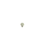 GE Refrigerator Screw WR01X10618