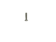 GE Screw M4 17 WH02X10252