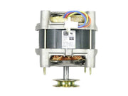 GE Motor 1 Speed Psc 1/2 WH20X10063