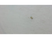 LG Dryer Screw,taptite 1APF0402608