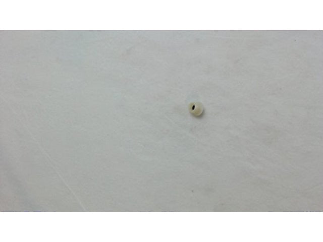 LG Dryer Screw,taptite 1APF0402608