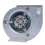 Rheem Blower Assembly - AS-100841-01