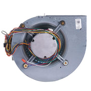 Rheem Blower Assembly - AS-101886-19