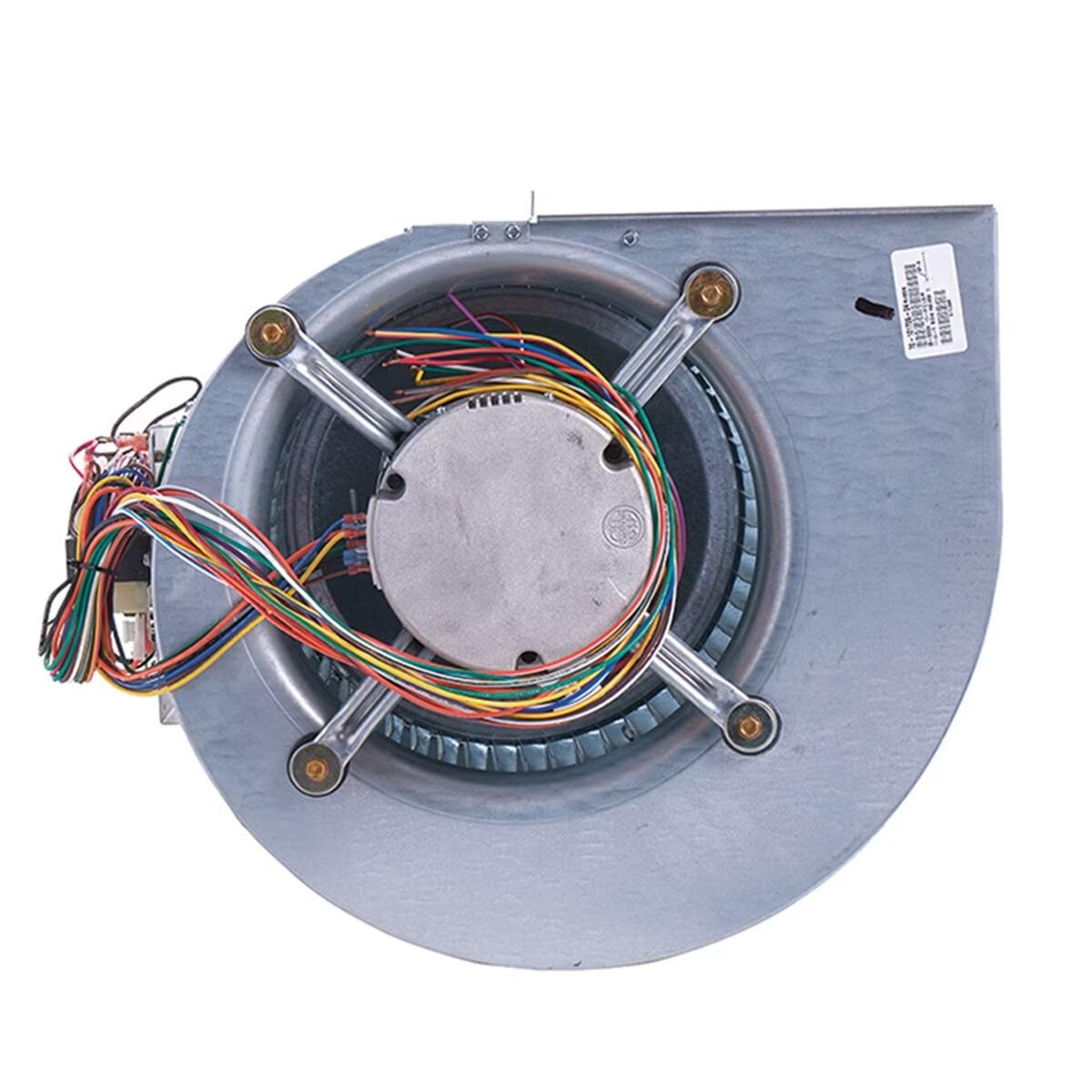 Rheem Blower Assembly - AS-101886-20