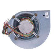 Rheem Blower Assembly - AS-101886-20