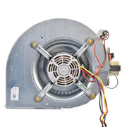 Rheem Blower Assembly - AS-101931-02
