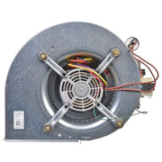 Rheem Blower Assembly - AS-101931-03