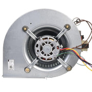 Rheem Blower Assembly - AS-101931-05