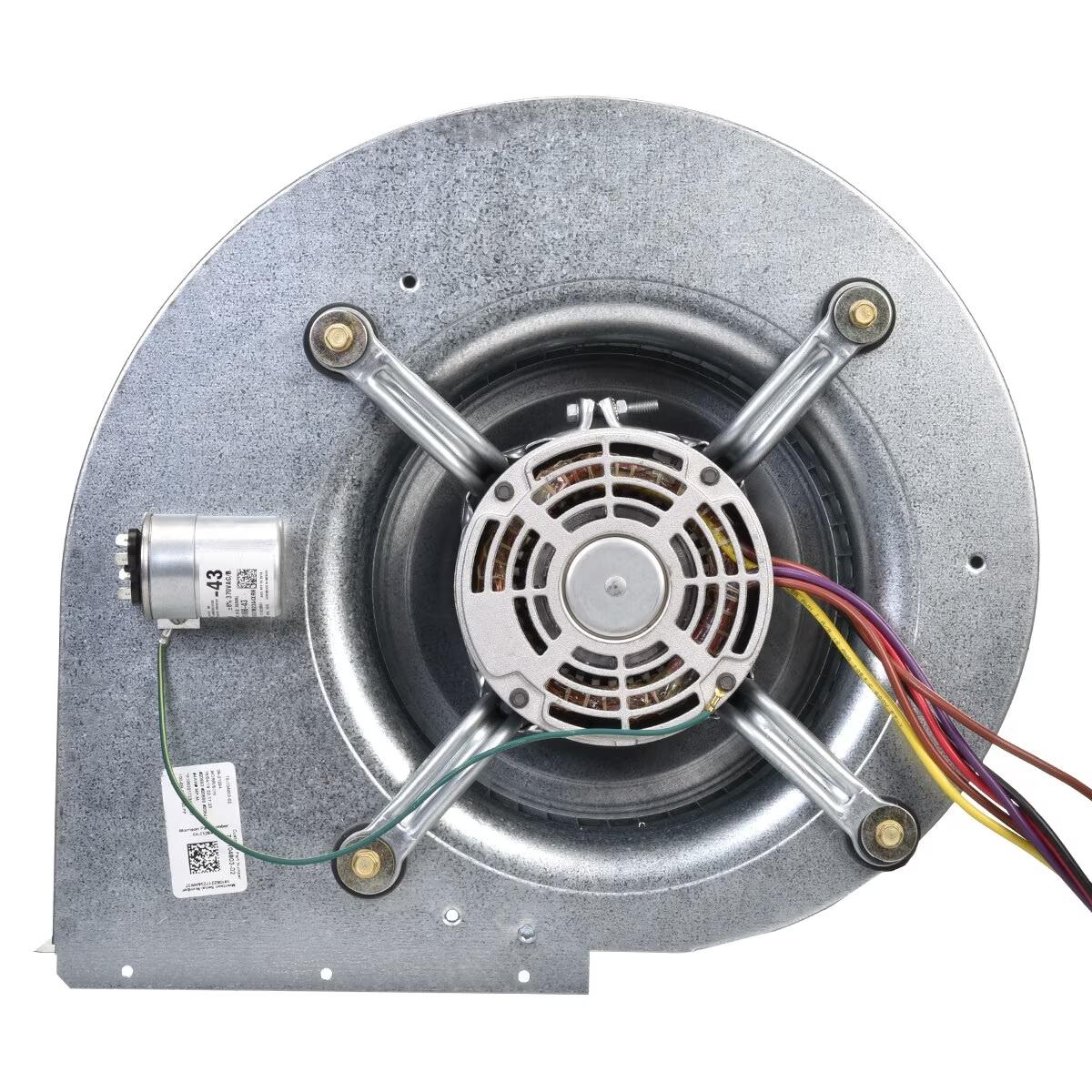Rheem Blower Assembly - AS-103222-02