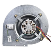 Rheem Blower Assembly - AS-103222-02