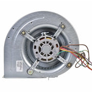 Rheem Blower Assembly - AS-103222-04