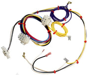 Rheem Wiring Harness - AS-61700-02